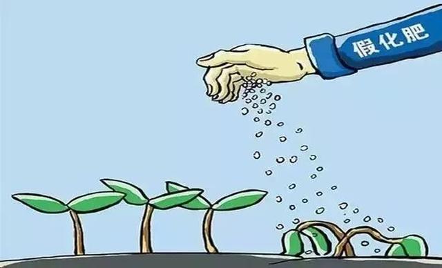 ����(j��)���ڣ��@���r(n��ng)�Y��һ���(n��i)�����N�ۺ����r(n��ng)ˎ�ͻ���...