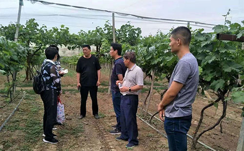 ע�⣡�����Йz��0.01%�r(n��ng)ˎ�ɷ֣��S�ұ��P��25�f