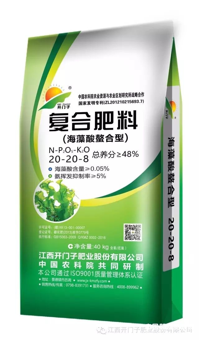 �_�T�� �����������͏ͺϷ���