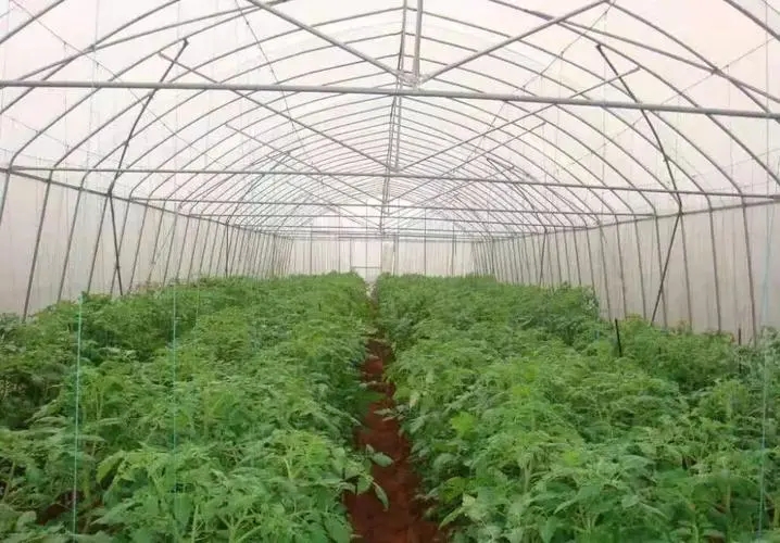 ���﷬�Ѳ�ͬ�r�����ʩ�ʣ�����Щʩ�ʼ��ɣ�