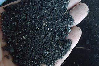 ˮ���Nֲ�е����ס�⛵����ã�