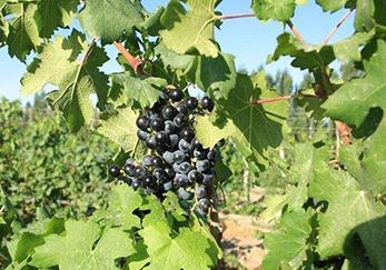 �~��ʵ��m�÷�����ʹ�÷���