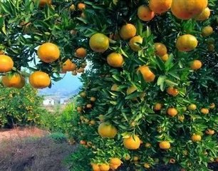 �����ЙC��������ʼ��g����