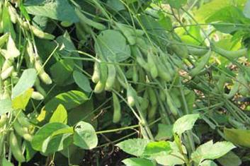 ����ôʩ�ʣ���ʩ�ʼ��g