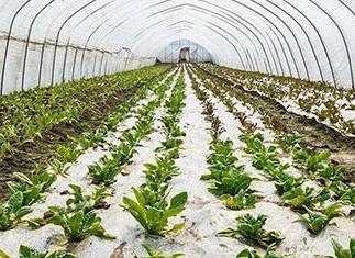 �����ôʹ�Û_ʩ�ʣ���˛_ʩ��ʹ�÷���