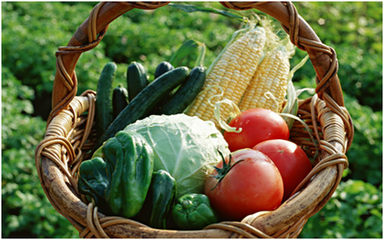 �ЙC��������ʼ��g�������t�����˲�ԓ�x�ķNģʽ��