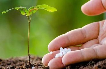 �ͺϷ�������Ȼ�ɶ�^�e��