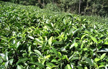 ʷ����ȫ����(j��ng)��(j��)�����ЙC(j��)��ʹ�ü��g(sh��)��