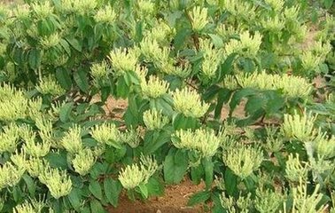 ���y��ʩ�ʼ��g