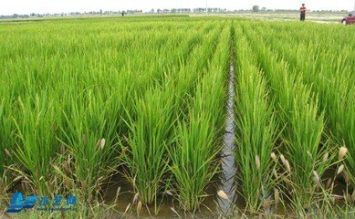 �絾����ʩ�ʼ��g