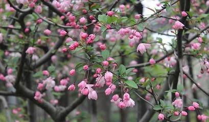 ���仨�ڇ���ע�����