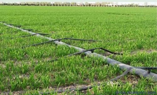 �ι�ʩ�ʼ��g(sh��)�@ƪ�vȫ��