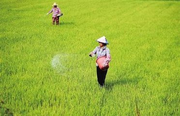 ����ʩ�ʳ�Ҋ(ji��n)ע�����(xi��ng)