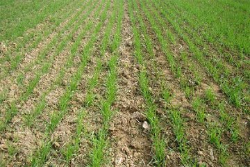 С����ôʩ��΢�ʣ�