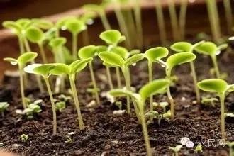 ���ʣ����(hu��)�Æ᣿