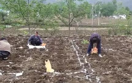 �ٺõķ��ϣ�Ҳ���@Щ���F��֪��߀������