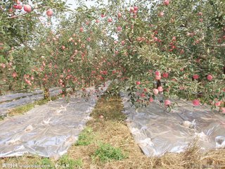 �ٺõ��ЙC�ʣ�Ҳ���ܺ�ҕ�@Щ�� ���@����զ�÷���