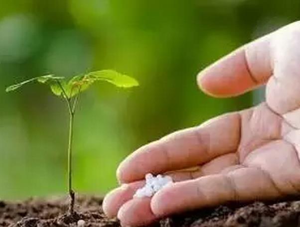 �������ˆ��}���������ٶ�Ҳ�e�����a��