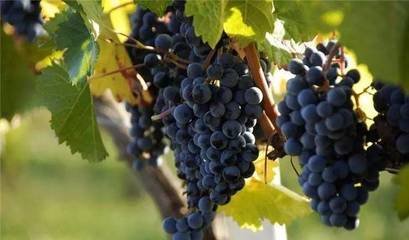 ����ʩ��⛷ʼ��g(sh��)