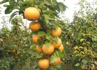 ���ɹ���ʩ�ʼ��g