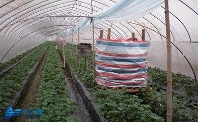 ���Ҷ�����̼��ʩ�ʷ���