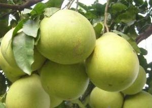 ���ӵ�ʩ�ʼ��g(sh��)