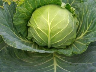 �Y(ji��)����{(l��n)��ʩ�ʼ��g(sh��)