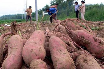 �t��ʩ�ʵļ���