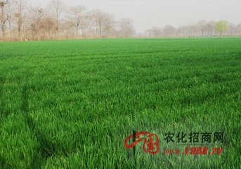 ʩ�ù̵������ϵ�ע�����