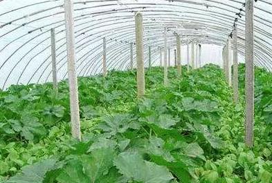 �������ҹ������@�ׂ����}ǧ�fҪע����