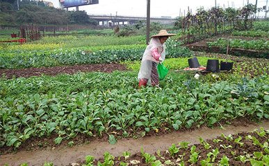 �߲˵�׷�ʷ���