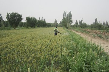 С����ô�M���~�懊�ʣ�