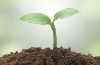 �ЙC�ʡ��o�C�ʡ�����������Ӻ������䣿