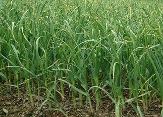 ������ôʩ�ʲ��ܸ߮a��