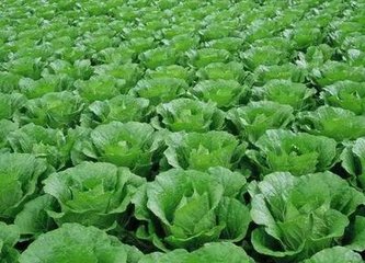 �~��ʵă��c�cʩ�÷���