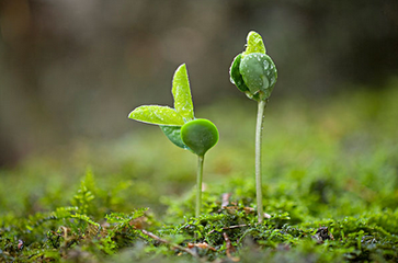 ʩ�ʵ�ע�����