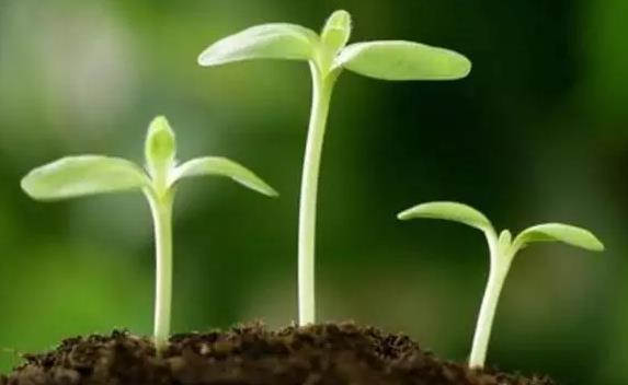 ���ʻ���@�ӣ�����ġ��������׶���ɶ��