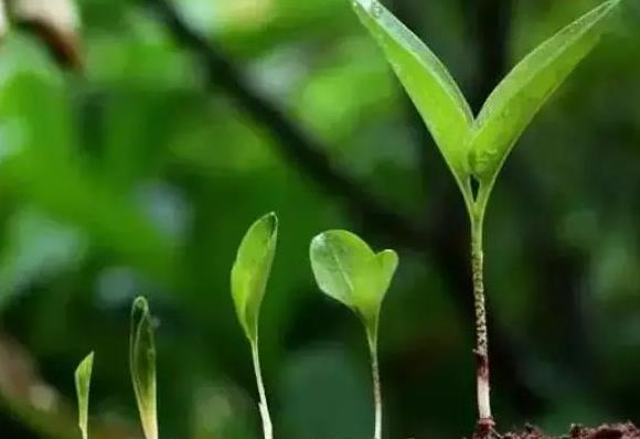 �]�д󻯷ʾ͛]�и߮a(ch��n)����ǧ�f(w��n)�e���ЙC(j��)���c�󻯷ʡ��Ȅ��^����