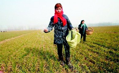 С��׷ʩ�ι�(ji��)��ע�����