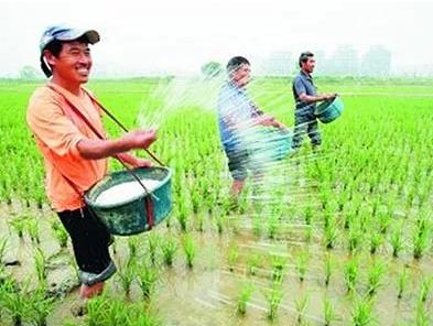 ���裺�@��ʻ������ͷ�Ч��