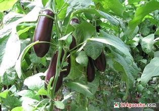 �紺��������ʩ�ʼ��g(sh��)