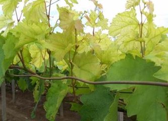 �߲˞�ʲô��Ҫ�a(b��)ʩ�}�ʣ�