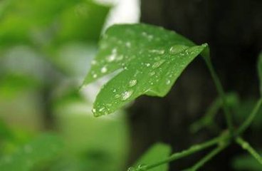 �~��ʺ��{(di��o)��(ji��)���ƌW(xu��)ʩ�÷���ָ��(d��o)