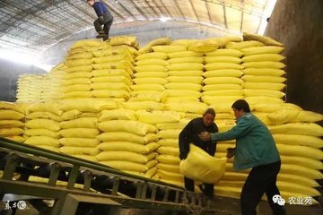 ���ʹ�Û_ʩ�ʣ�