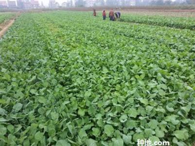 �Ͳ˵ĿƌW(xu��)ʩ�ʼ��g(sh��)