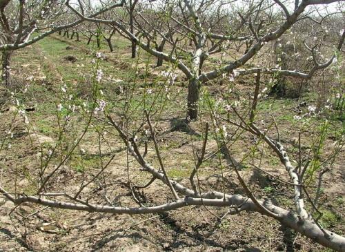 ��������׷�� ��α���ʺ�