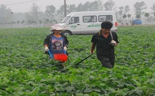 ��ʩ�ʵķ���