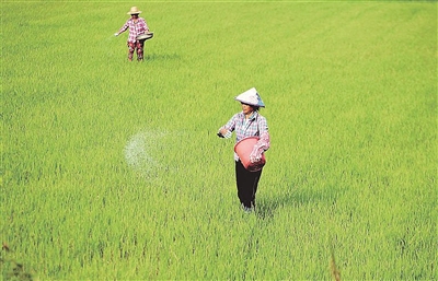 �������ʻ����߲�Ҫ