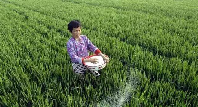 ����äĿʩ���׷ʣ�6��Σ������_��