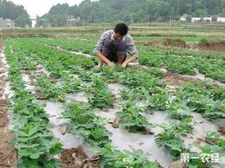 ���ϻ�ʩ����Ч�����������ρy���䣬��Ч���M(f��i)�����Ì��ˆ᣿